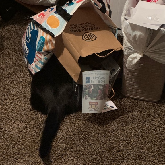 Meet your Posher, Karina - Picture 12 of 14